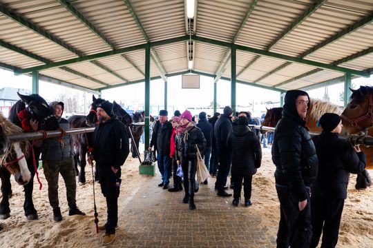 Skaryszewski jarmark koński "Wstępy" (zdjęcia)