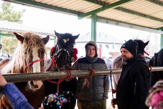 Skaryszewski jarmark koński "Wstępy" (zdjęcia)