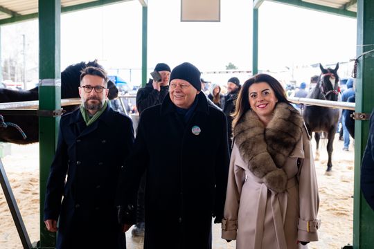 Skaryszewski jarmark koński "Wstępy" (zdjęcia)