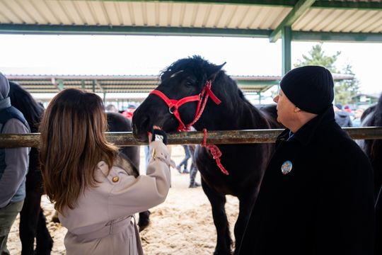 Skaryszewski jarmark koński "Wstępy" (zdjęcia)