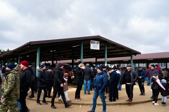 Skaryszewski jarmark koński "Wstępy" (zdjęcia)