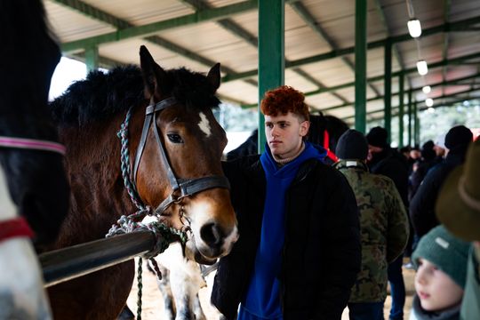 Skaryszewski jarmark koński "Wstępy" (zdjęcia)