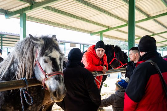 Skaryszewski jarmark koński "Wstępy" (zdjęcia)