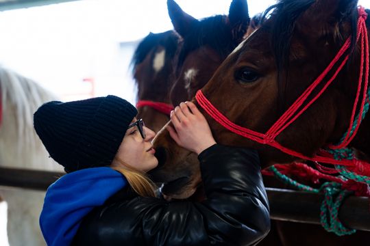 Skaryszewski jarmark koński "Wstępy" (zdjęcia)