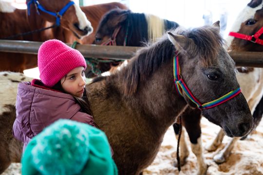 Skaryszewski jarmark koński "Wstępy" (zdjęcia)