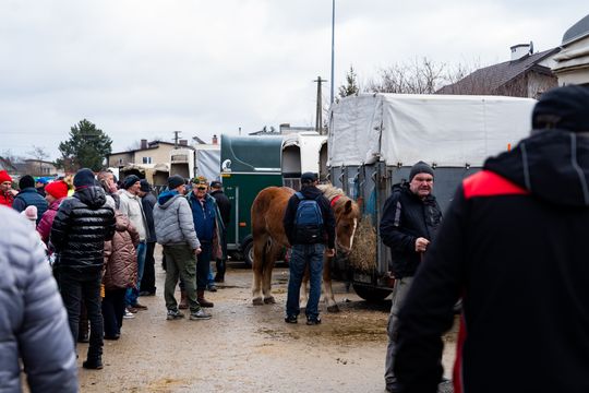 Skaryszewski jarmark koński "Wstępy" (zdjęcia)