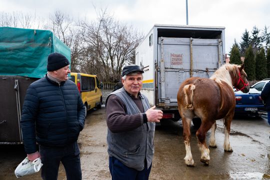 Skaryszewski jarmark koński "Wstępy" (zdjęcia)