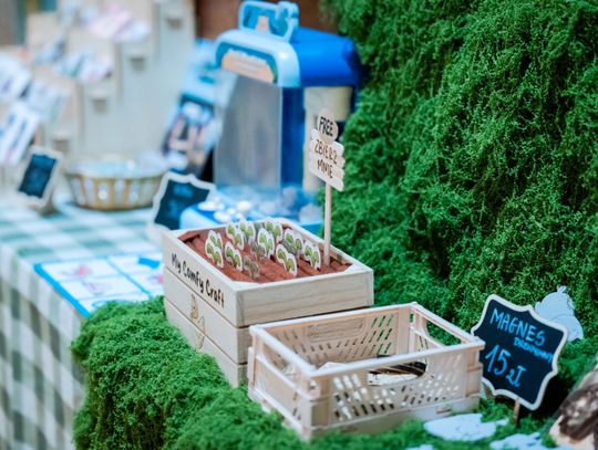 Kaziki - II Zjazd Rękodzielników (zdjęcia)