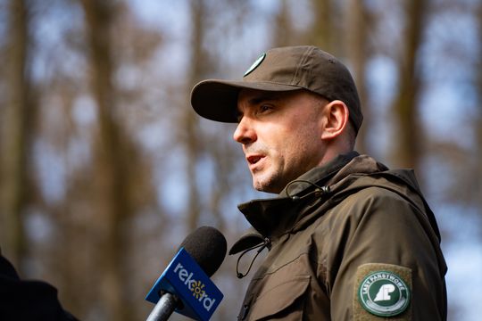 Konferencja prasowa Nadleśnictwa Radom (zdjęcia)