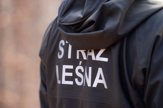 Konferencja prasowa Nadleśnictwa Radom (zdjęcia)