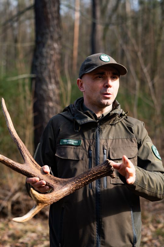 Konferencja prasowa Nadleśnictwa Radom (zdjęcia)