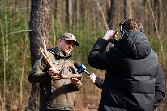Konferencja prasowa Nadleśnictwa Radom (zdjęcia)