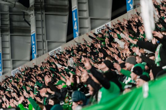 Kibice na meczu Radomiak Radom - Arka Gdynia (zdjęcia) 