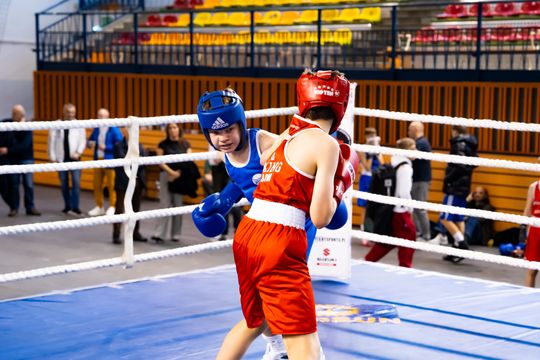 Turniej bokserski im. Kazimierza Paździora (zdjęcia)