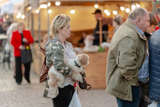 Jarmark Kaziukowy (zdjęcia)