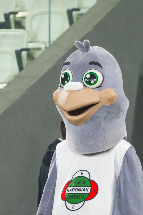 radomiak radom - legia warszawa-85.jpg