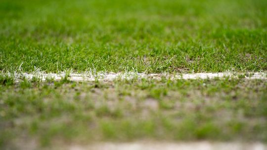 Konferencja prasowa dot. murawy na stadionie przy Struga 63 (zdjęcia) Konferencja prasowa dot. murawy na stadionie przy Struga 63 (zdjęcia)