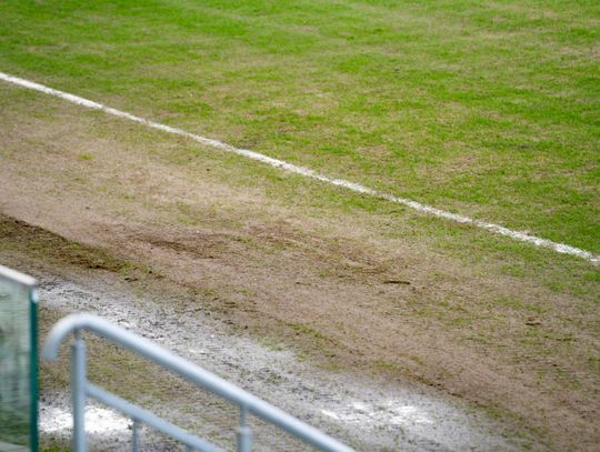 Konferencja prasowa dot. murawy na stadionie przy Struga 63 (zdjęcia)