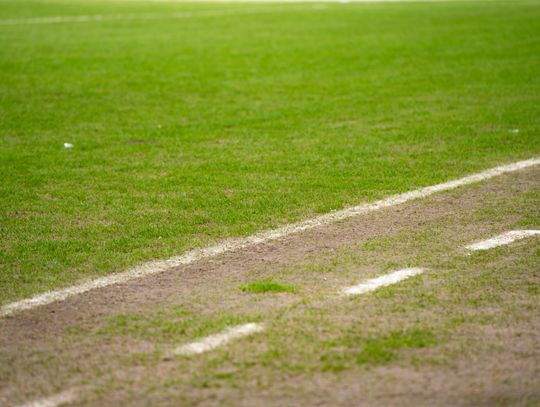 Konferencja prasowa dot. murawy na stadionie przy Struga 63 (zdjęcia)