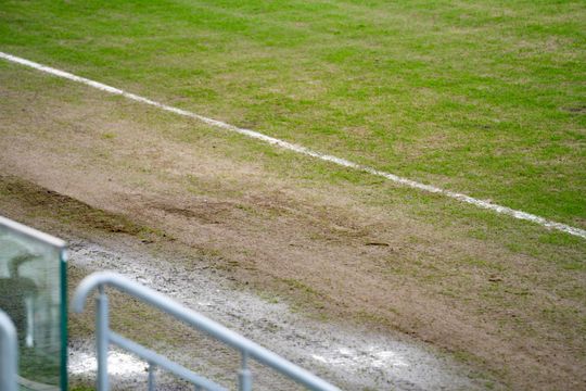 Konferencja prasowa dot. murawy na stadionie przy Struga 63 (zdjęcia)