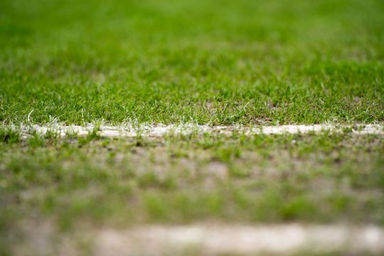 Konferencja prasowa dot. murawy na stadionie przy Struga 63 (zdjęcia)