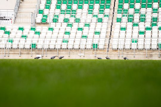 Konferencja prasowa dot. murawy na stadionie przy Struga 63 (zdjęcia)