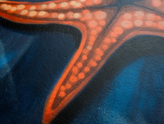 Nowy mural w przejściu podziemnym na ustroniu (zdjęcia)