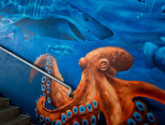 Nowy mural w przejściu podziemnym na ustroniu (zdjęcia)