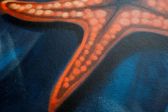 Nowy mural w przejściu podziemnym na ustroniu (zdjęcia)