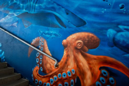 Nowy mural w przejściu podziemnym na ustroniu (zdjęcia)