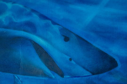 Nowy mural w przejściu podziemnym na ustroniu (zdjęcia)