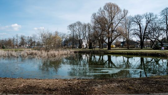 Zaśmiecone oczko wodne w Starym Ogrodzie (zdjęcia)