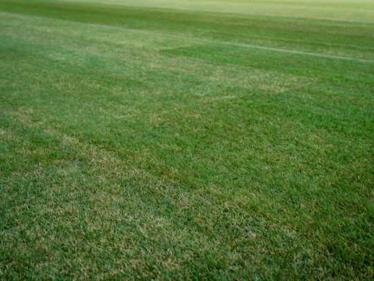 Nowa murawa na stadionie przy Struga (zdjęcia)
