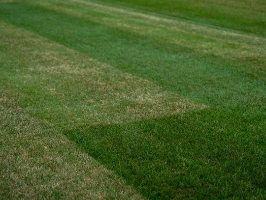 Nowa murawa na stadionie przy Struga (zdjęcia)