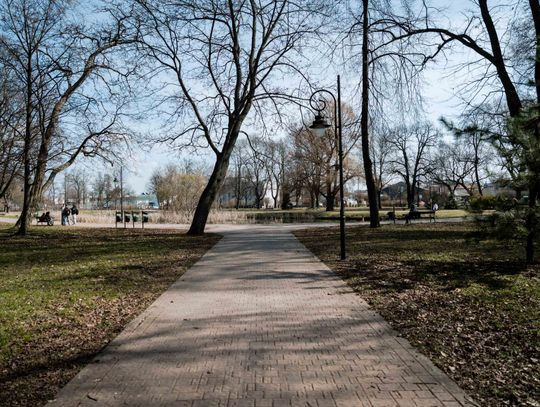 Zaśmiecone oczko wodne w Starym Ogrodzie (zdjęcia)