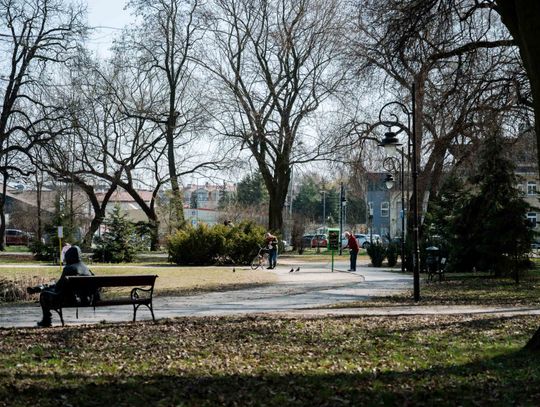 Zaśmiecone oczko wodne w Starym Ogrodzie (zdjęcia)