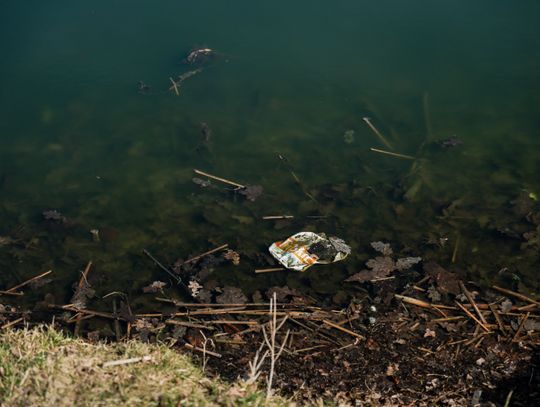 Zaśmiecone oczko wodne w Starym Ogrodzie (zdjęcia)