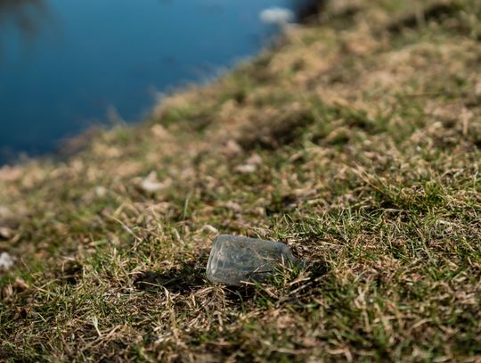 Zaśmiecone oczko wodne w Starym Ogrodzie (zdjęcia)