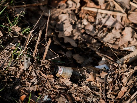 Zaśmiecone oczko wodne w Starym Ogrodzie (zdjęcia)