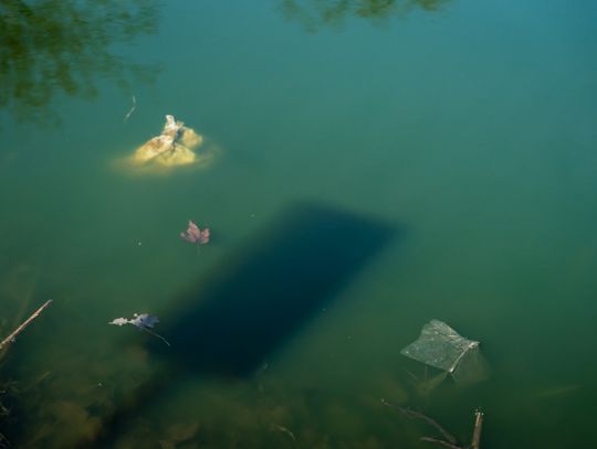 Zaśmiecone oczko wodne w Starym Ogrodzie (zdjęcia)