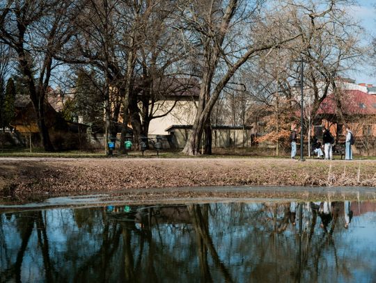 Zaśmiecone oczko wodne w Starym Ogrodzie (zdjęcia)
