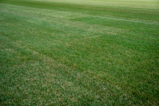 Nowa murawa na stadionie przy Struga (zdjęcia)