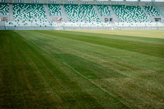 Nowa murawa na stadionie przy Struga (zdjęcia)