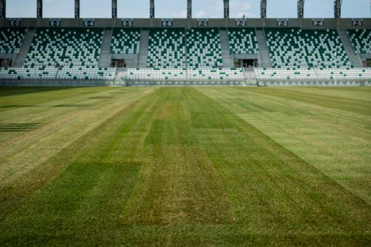 Nowa murawa na stadionie przy Struga (zdjęcia)