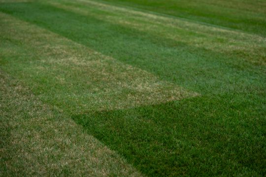 Nowa murawa na stadionie przy Struga (zdjęcia)