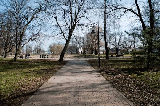 Zaśmiecone oczko wodne w Starym Ogrodzie (zdjęcia)