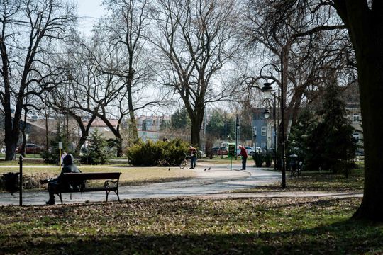 Zaśmiecone oczko wodne w Starym Ogrodzie (zdjęcia)