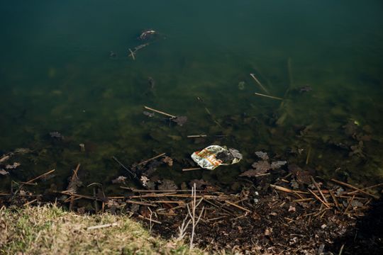 Zaśmiecone oczko wodne w Starym Ogrodzie (zdjęcia)