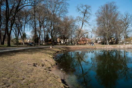 Zaśmiecone oczko wodne w Starym Ogrodzie (zdjęcia)