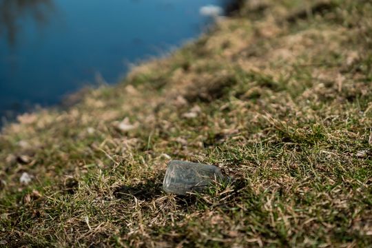 Zaśmiecone oczko wodne w Starym Ogrodzie (zdjęcia)